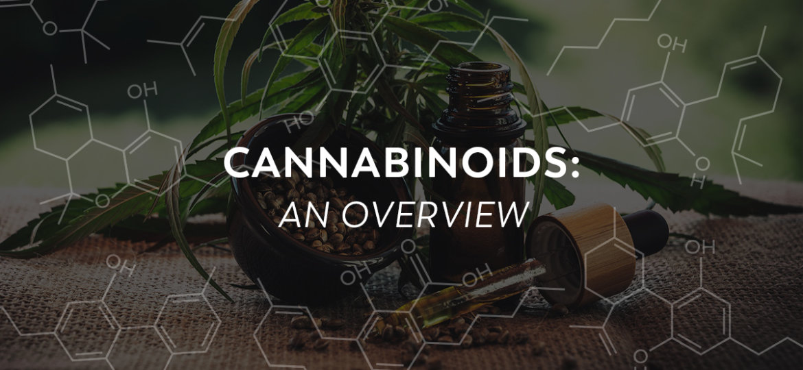 Cannabinoids-FeaturedImage-v1-A