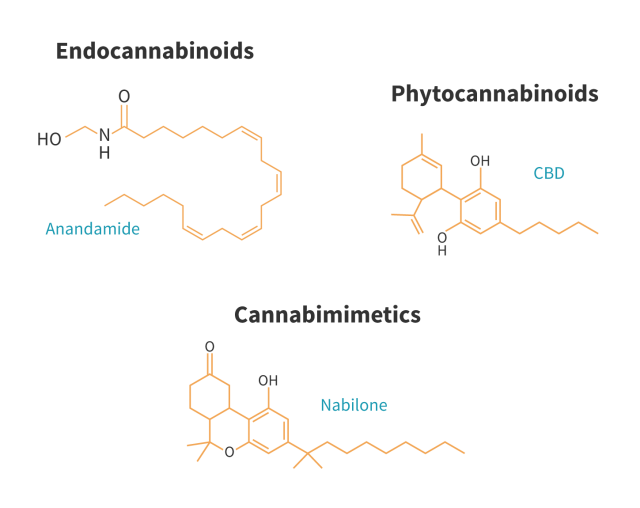 Cannabinoids-v4-TypesofCannabinoids (1)