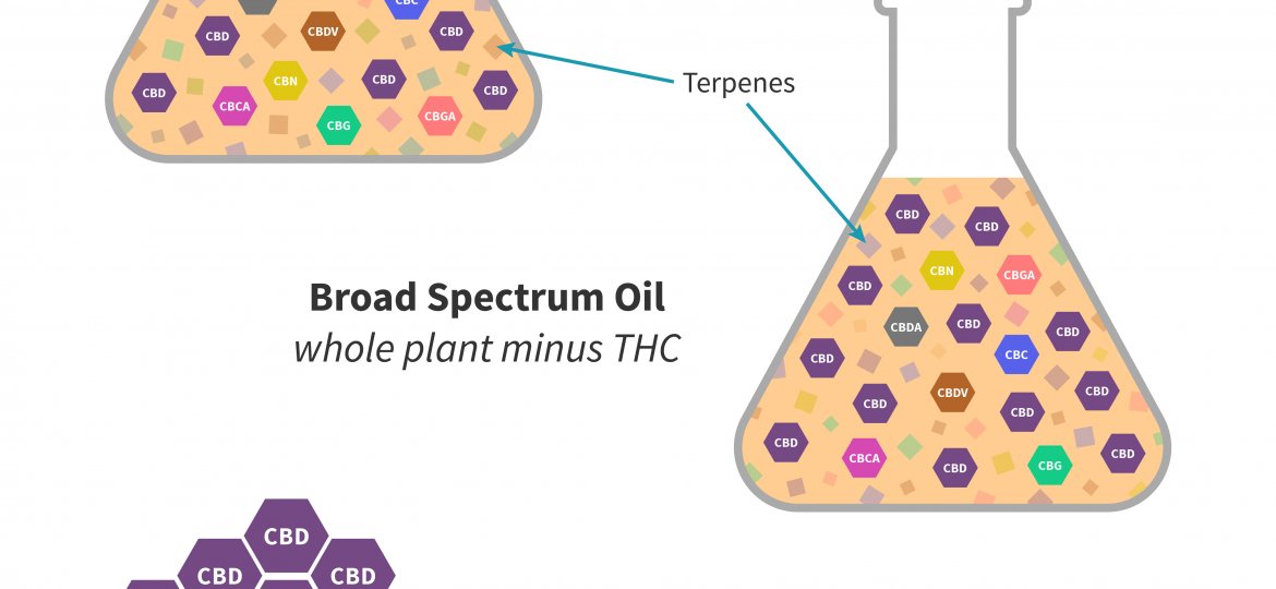 Spectrum-v16-blog