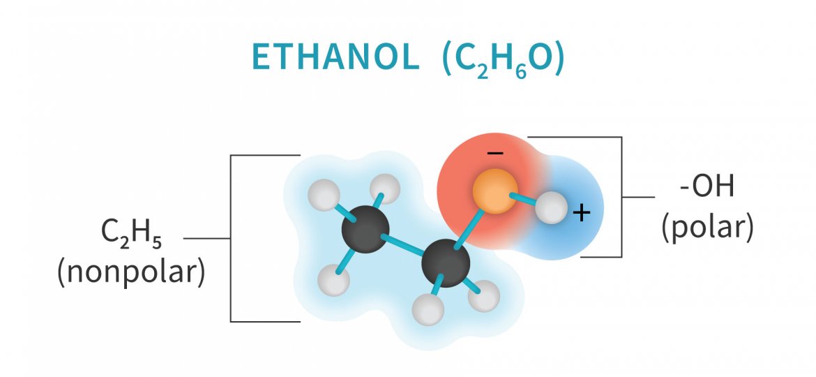 Featured-Image-Extraction_Methods_Molecules_v14-blog-ethanol