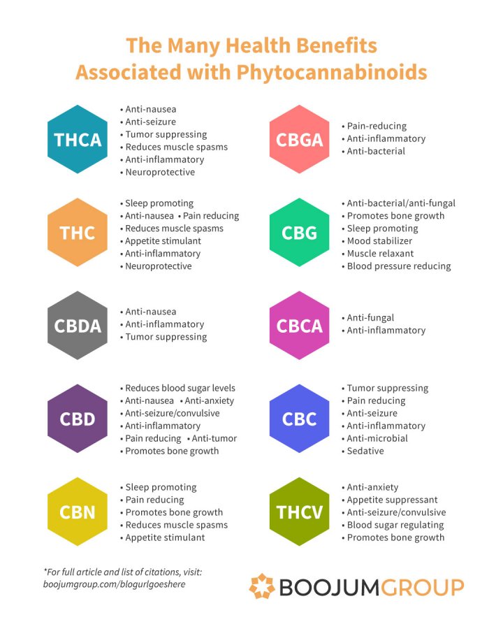 Understanding Cannabinoids And Their Effects