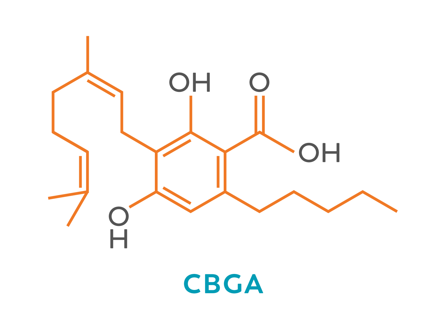 CBG, The OG Cannabinoid – Boojum Group