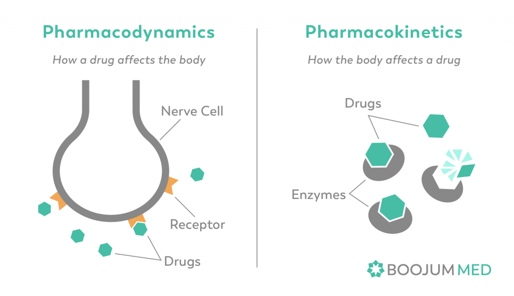 How Does Cannabis Interact with Other Medication? – Boojum Group