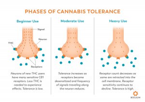 Weed Tolerance Break Chart