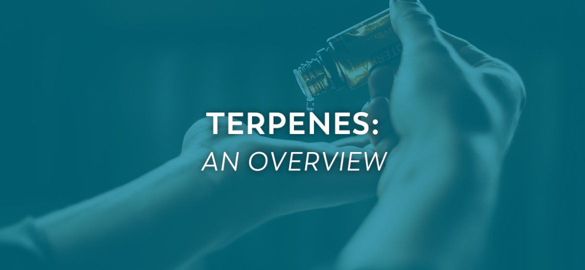 Terpenes-FeaturedImage-v1-1