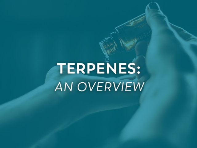 Terpenes-FeaturedImage-v1-1