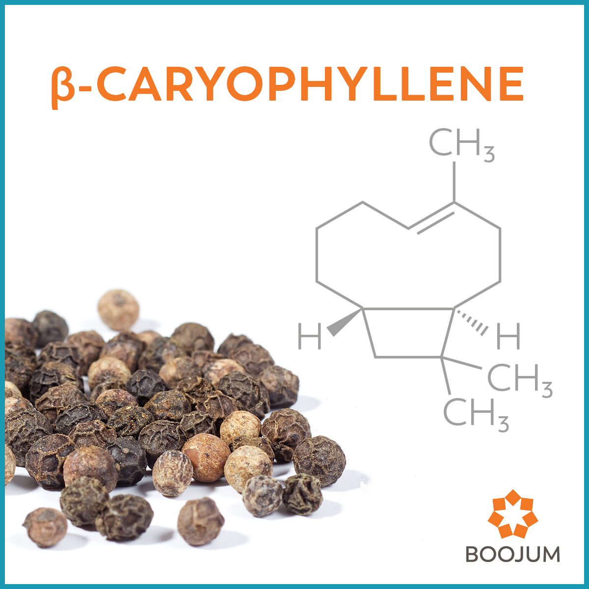 Terpenes: An Overview – Boojum Group